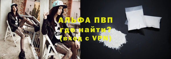 скорость Вяземский