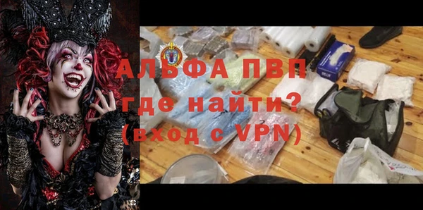 скорость Вяземский