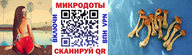 Псилоцибиновые грибы GOLDEN TEACHER  Лабытнанги 
